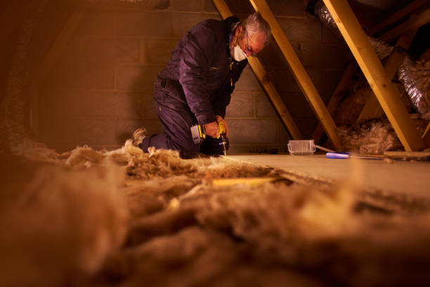 Trusted Prescott, AR Insulation Installation & Removal Experts